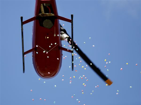 GALLERY: Raining eggs in Maumee