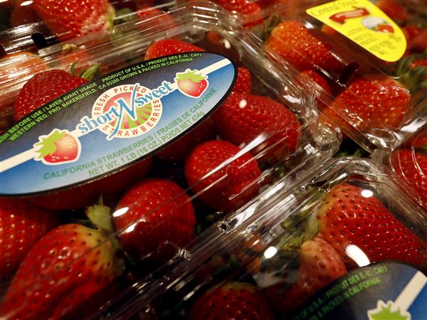 Bad weather to blame for strawberry shortage