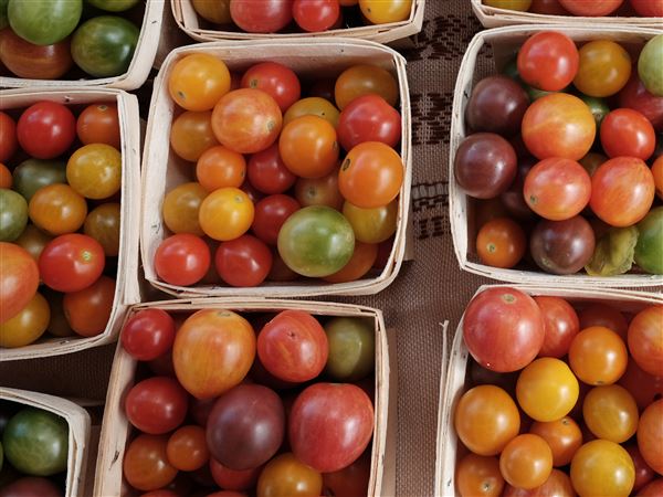 Farm stands could soon be allowed in neighborhoods without special-use permit