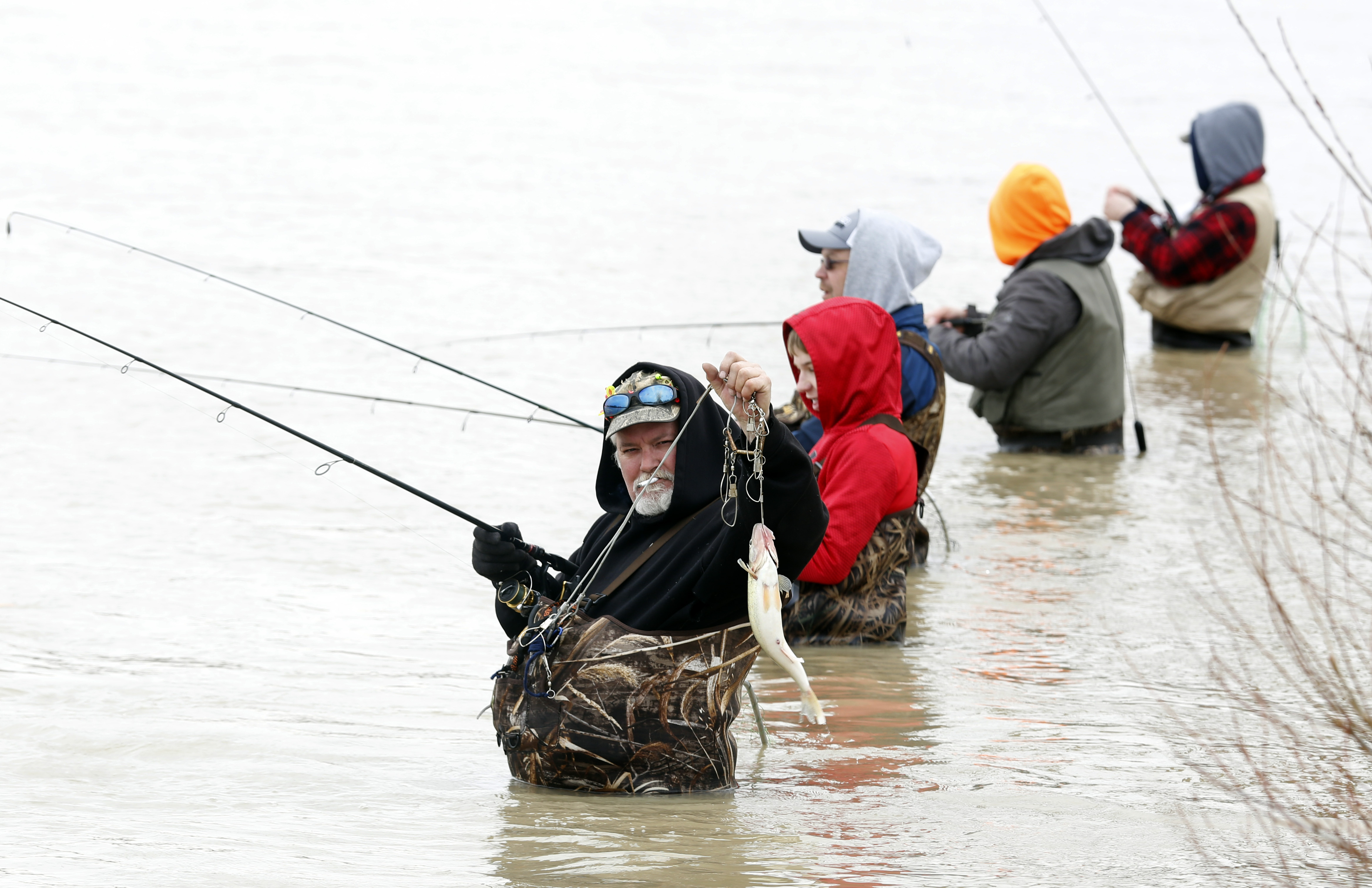 Blade Fishing Report Walleye run means big weekend for anglers The Blade