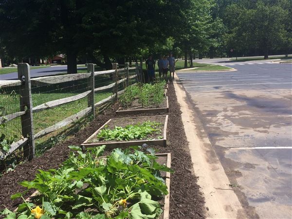 Bedford library's garden program takes root