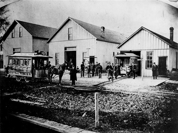 Horse flu hampered mass transit in Toledo