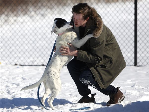 Humane Society offers free training at Owens