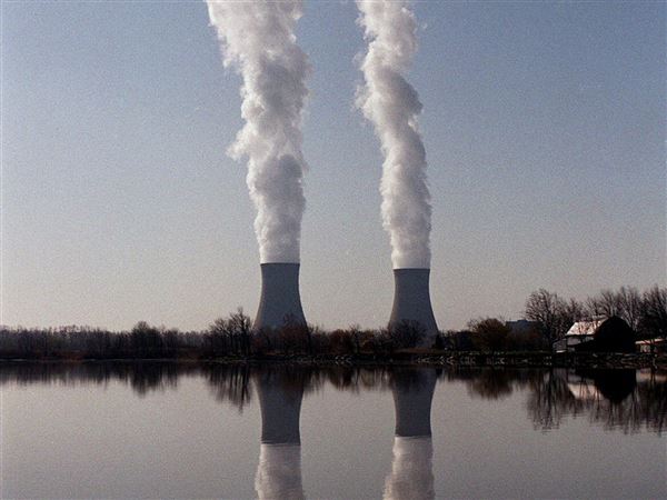 Fermi 2 nuclear power plant offline after malfunction