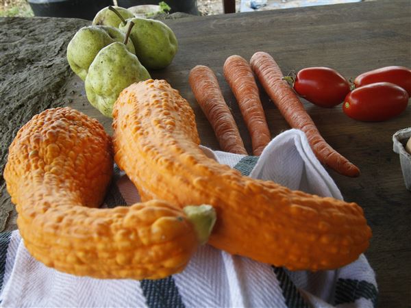 Maumee Farmers Market will take the year off