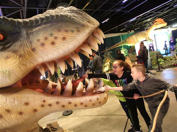 Go back in time with Discover the Dinosaurs at SeaGate