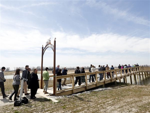 Howard Marsh Metropark opens to public Saturday