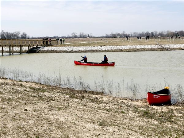 Howard Marsh Metropark opens to the public Saturday