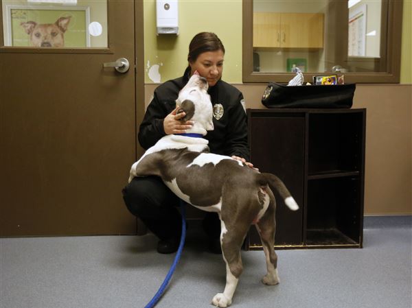Felony animal cruelty charge dropped in case of frozen dog