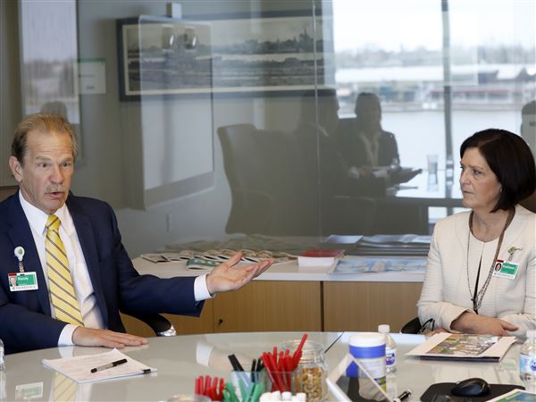 China involvement eyed as next possible move for expanding ProMedica