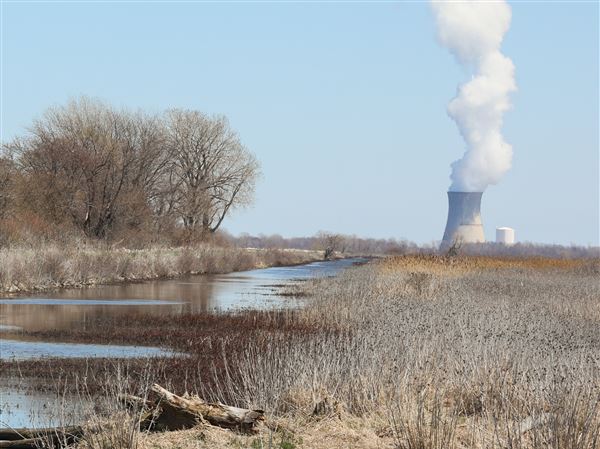 Grid operator looking at vulnerability of gas pipelines as nuclear plants close