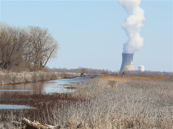 Grid operator wants to look at vulnerability of pipelines as nukes close