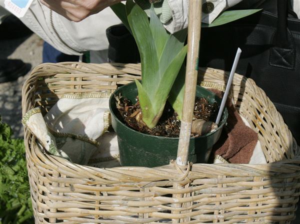 Plant exchange event at Toledo Lucas County Public Library
