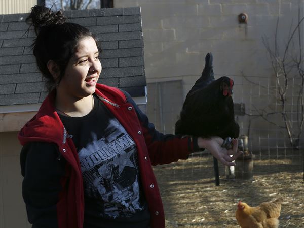 Urban agriculture classes give TPS students a hands-on education