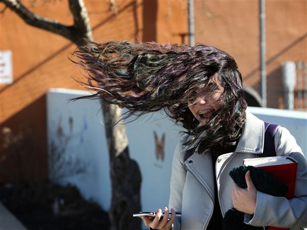 Wind advisories in effect for northwest Ohio