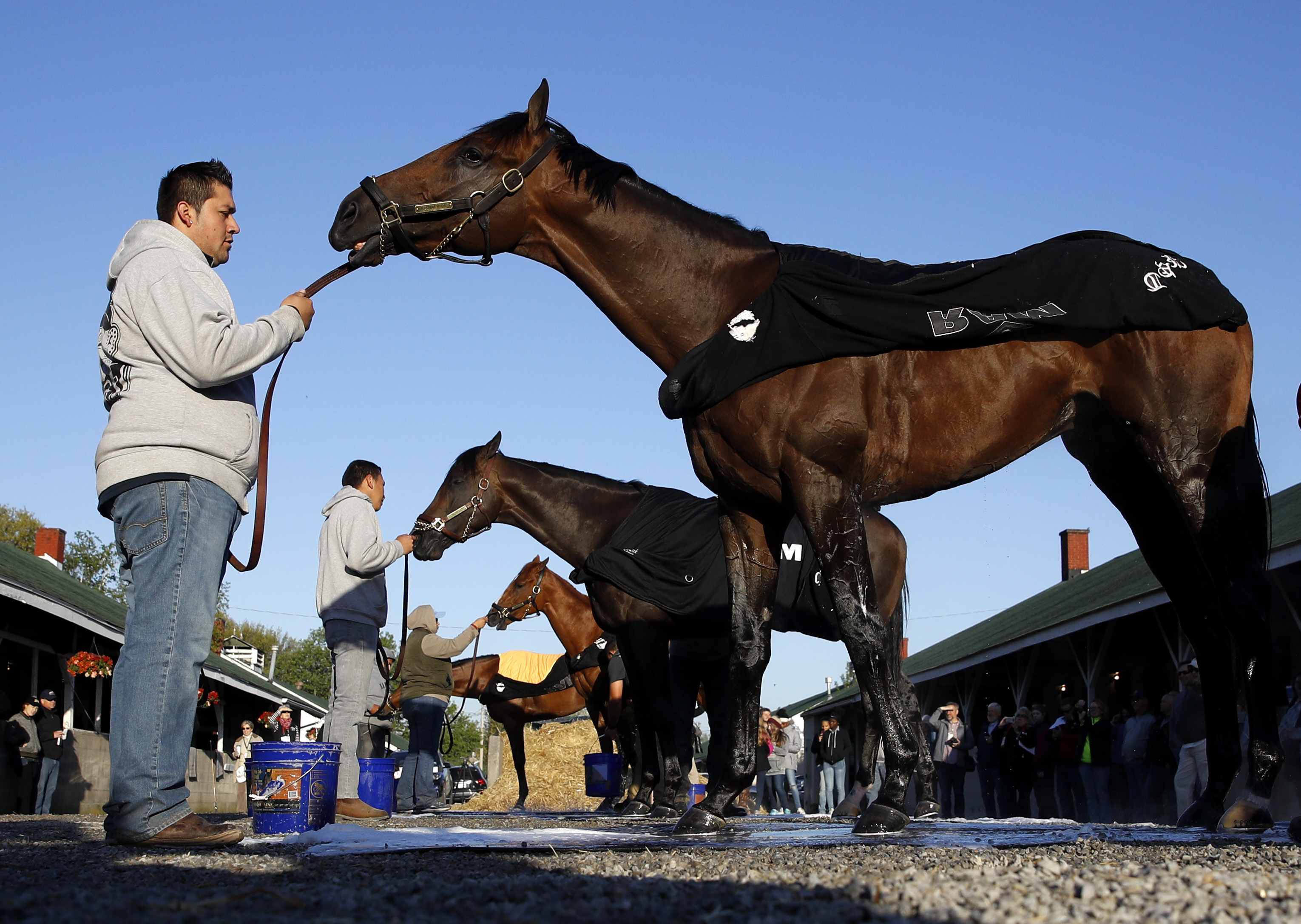 Can Magnum Moon, Justify end Kentucky Derby curse? The Blade