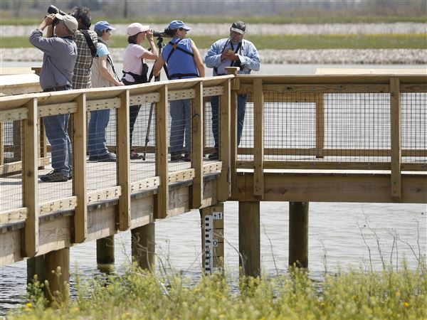 Boardwalks dot area for hiking, sightseeing