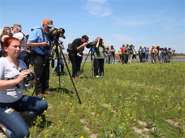 Newest metropark quickly becomes popular birding destination