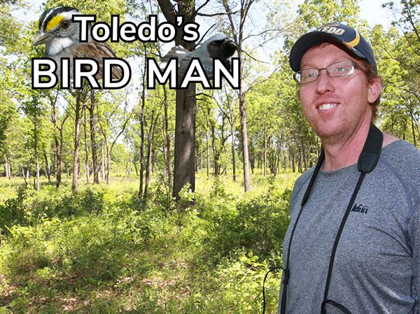 UT's Henry Streby tracks tiny birds using even smaller tech