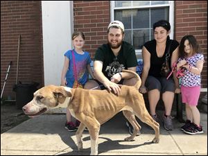 A dog named Bambi who went missing four years ago in Lansing, Mich., was reunited with her family Saturday. Toledo police found her Friday and took her to the county shelter, where they scanned her microchip and were able to get in touch with her owners.    