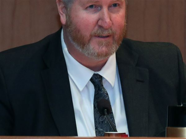Preliminary voting results suggest Delaney will retain Toledo council seat