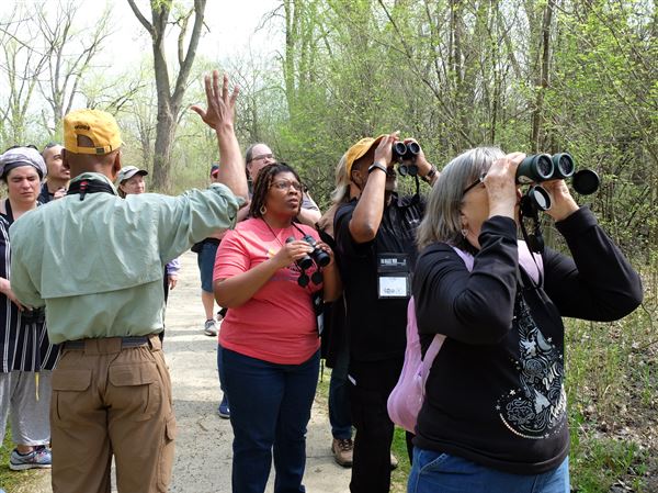 Toledo's Metroparks a haven for birds and birders
