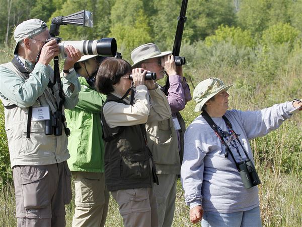 Biggest Week in Birding highlights restored habitats