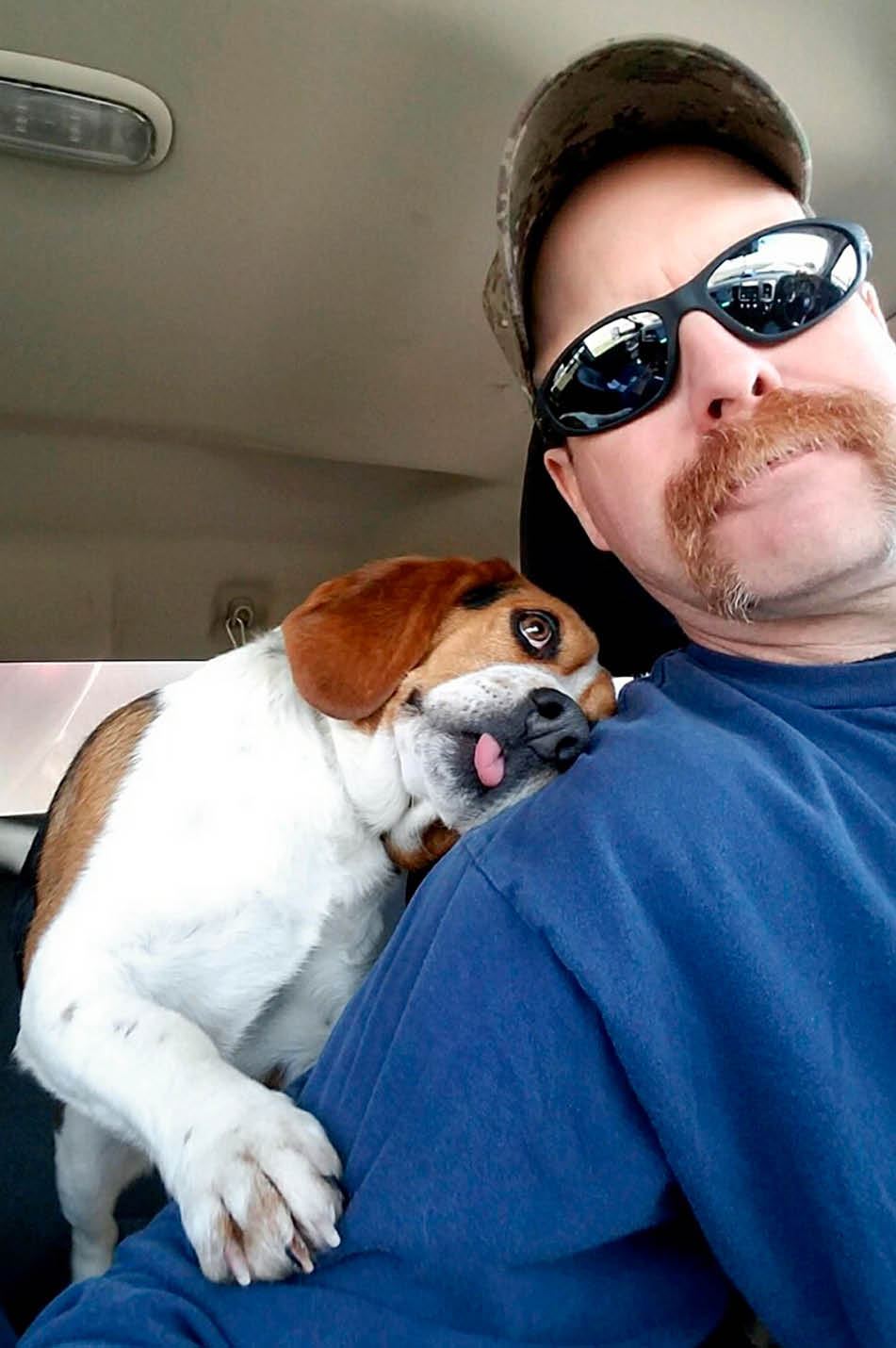 Grateful Gregory Rescue dog in Findlay shows gratitude in viral photo The Blade