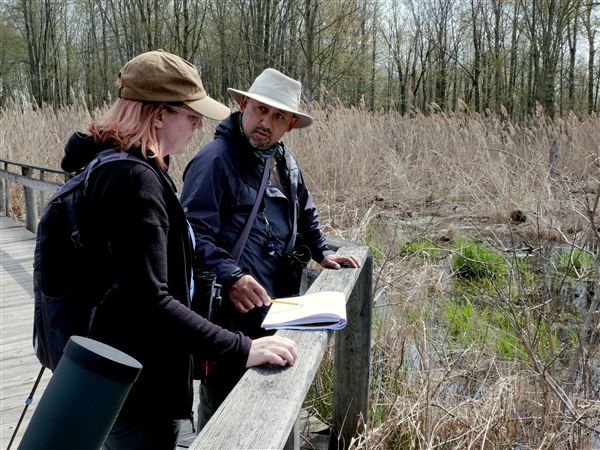 Sketching classes turn the birding experience into art