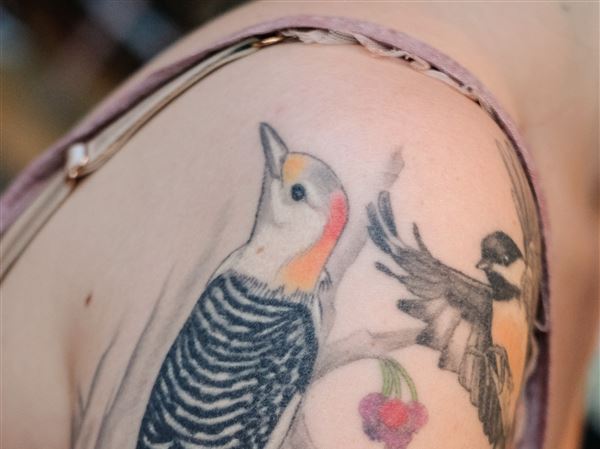 Birders show off their sweet ink at annual tattoo contest