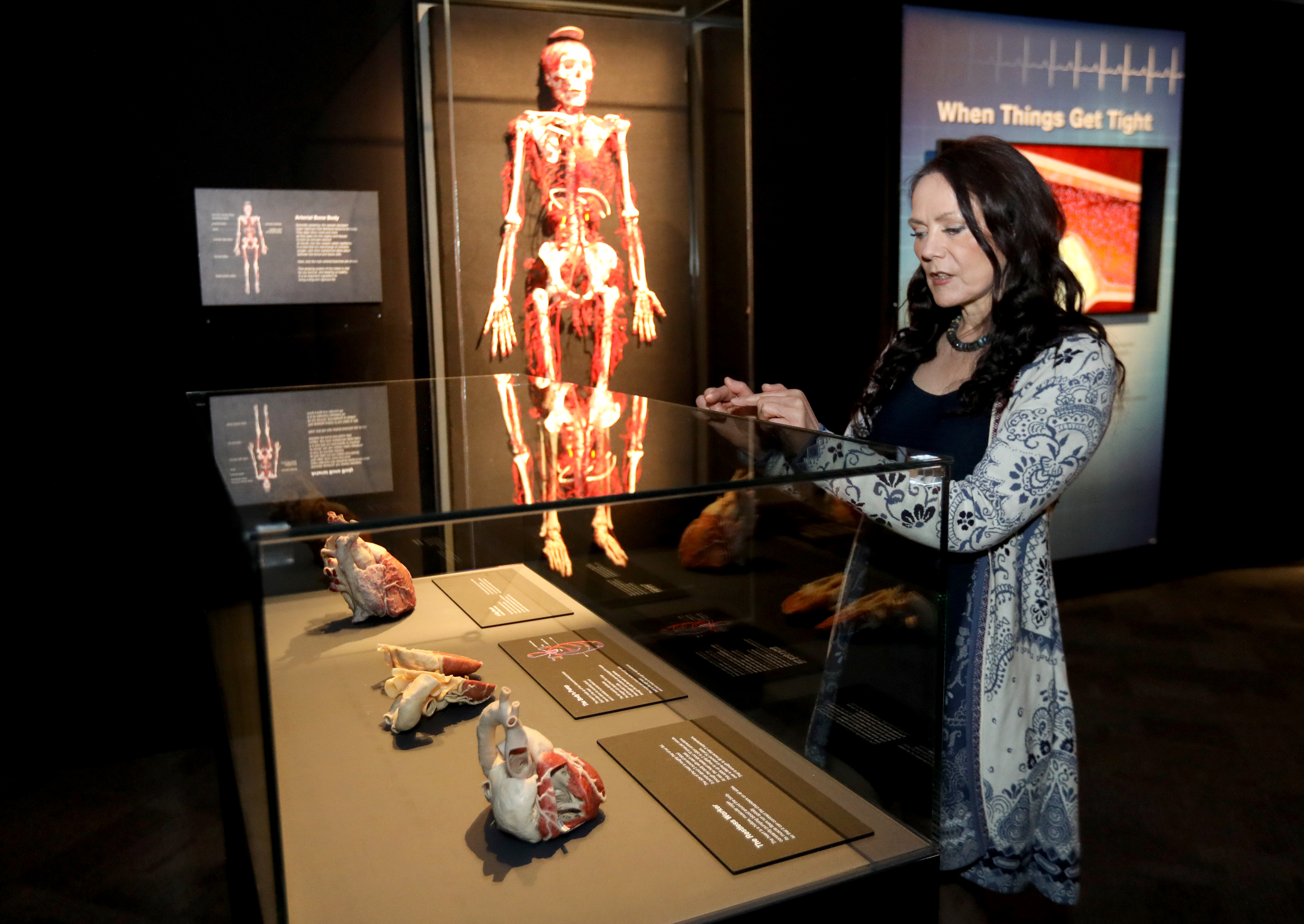 What lies beneath Exhibit gives realistic look at human body The Blade