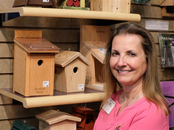 Making a birdhouse a home: What to know to attract friends in flight