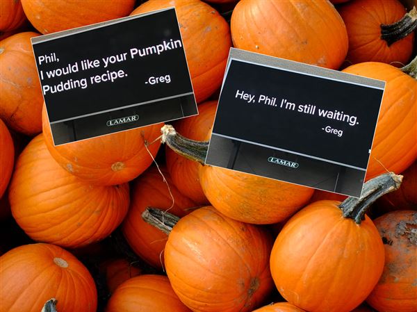 Local friends just can’t agree on pumpkin pudding recipe