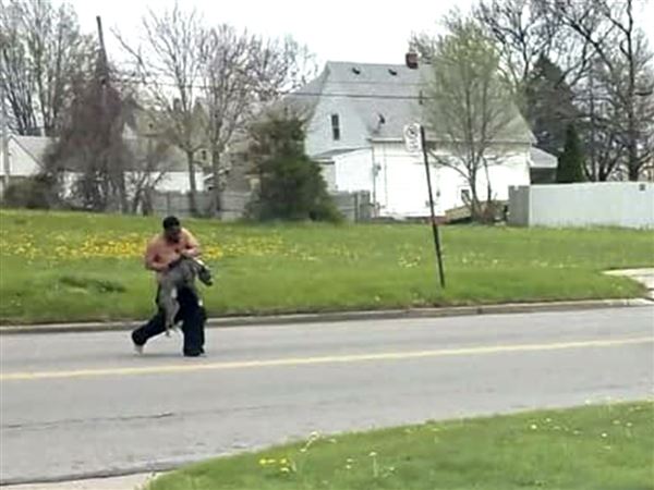 West Toledo man accused of beating dog facing animal cruelty charges