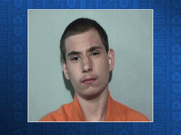 Holland man accused of stealing car, crashing into deputy's cruiser