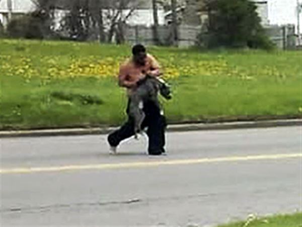 Humane society locates dog in cruelty case