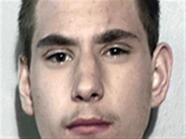 Holland teen sentenced to 14 months for crashing into deputy's cruiser