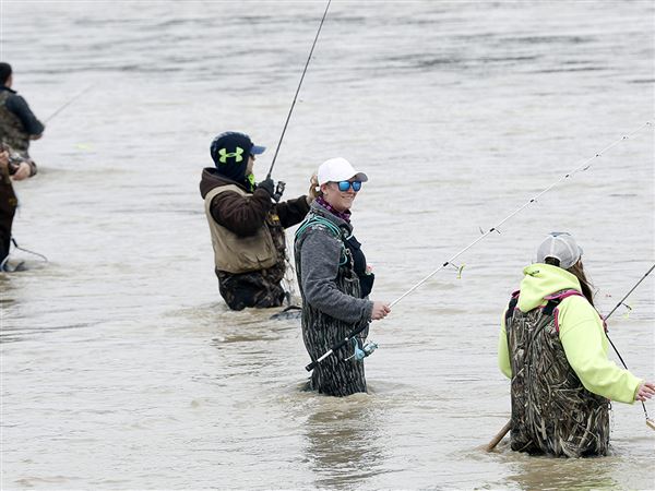 Boats aren't needed to catch fish from area waterways