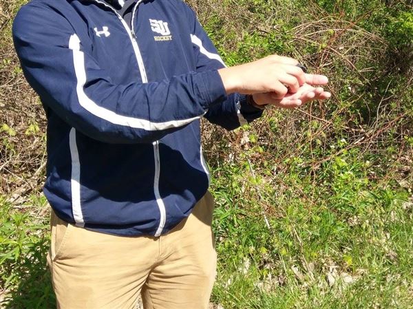 Flight plan: Affinity for birds could lead St. John’s grad to a career as a naturalist