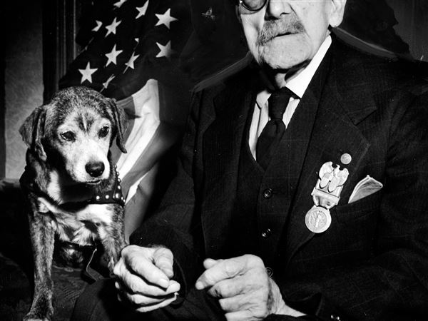 Toledo's last Civil War vet