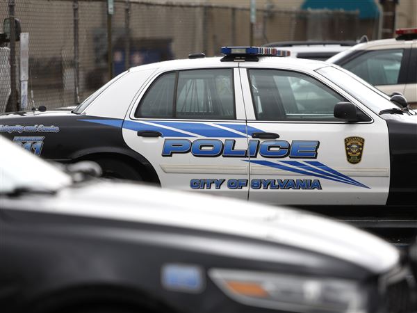 Man threatens to harm puppy during domestic dispute