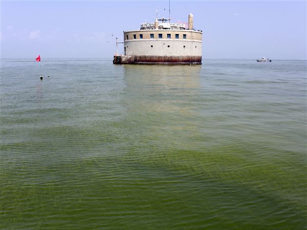 Judge says he may back away from Lake Erie algae lawsuit