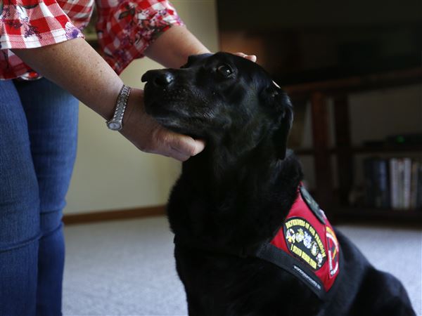 Lambertville dog receives national honor