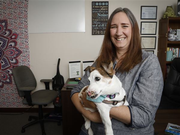 Noseless Jack Russel terrier brings comfort, joy to Toledoans