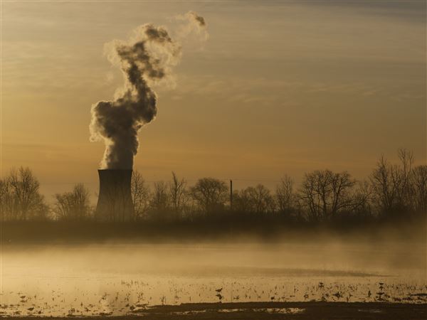 FirstEnergy's request for Trump relief draws more critics