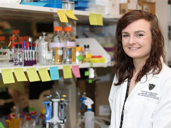 UT researchers use 'in silico' approach to study diseases