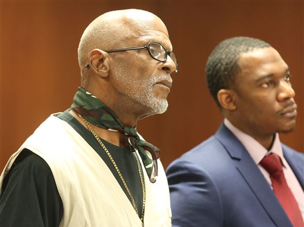Court orders South Toledo man to surrender horse