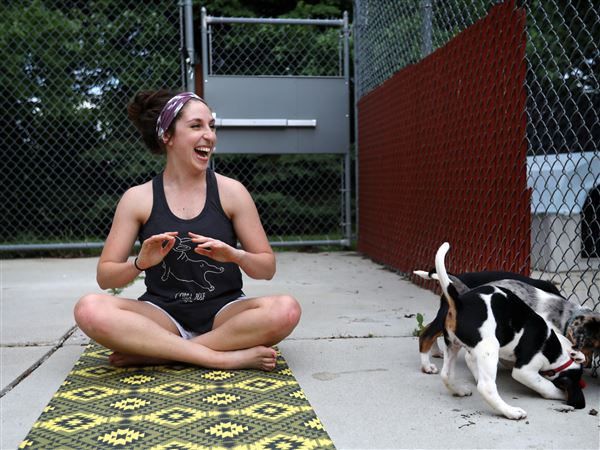 Dog and cat yoga showcases prospective adoptees