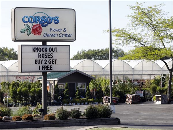 Corso's: We were unaware employees might have been illegal immigrants