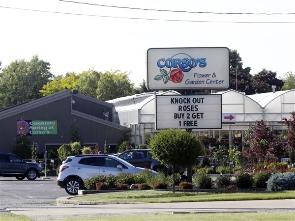 Women detained at Corso's granted bonds in first round of hearings